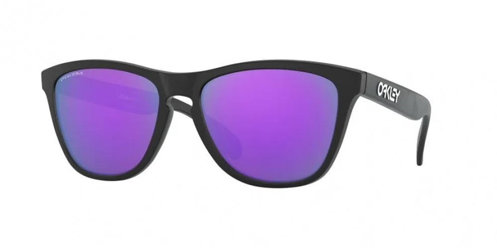 Oakley Frogskins 9013 Sunglasses - Crystal Clear - view 115